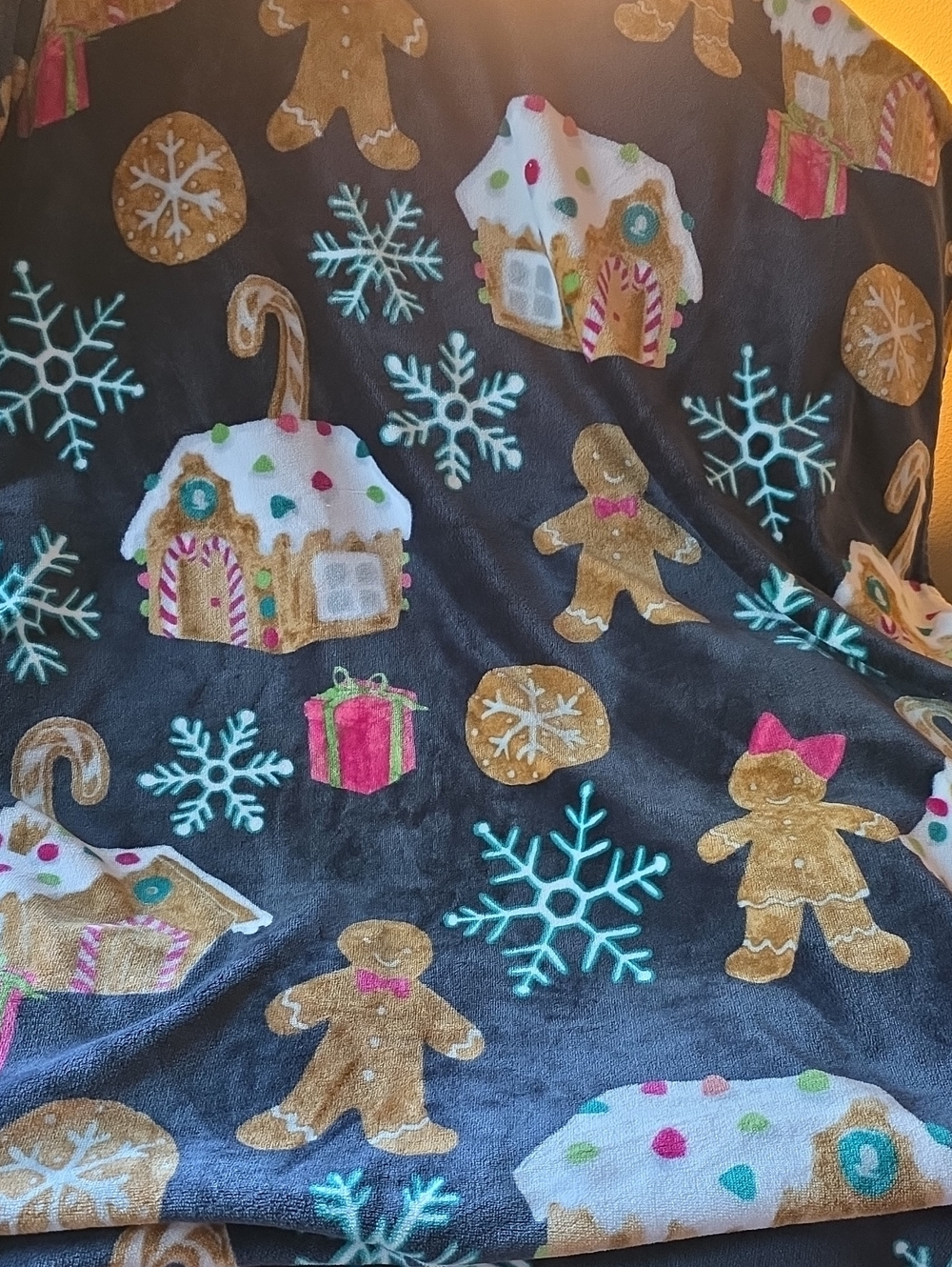 Holiday Gingerbread Plush Throw Blanket - Blue/navy